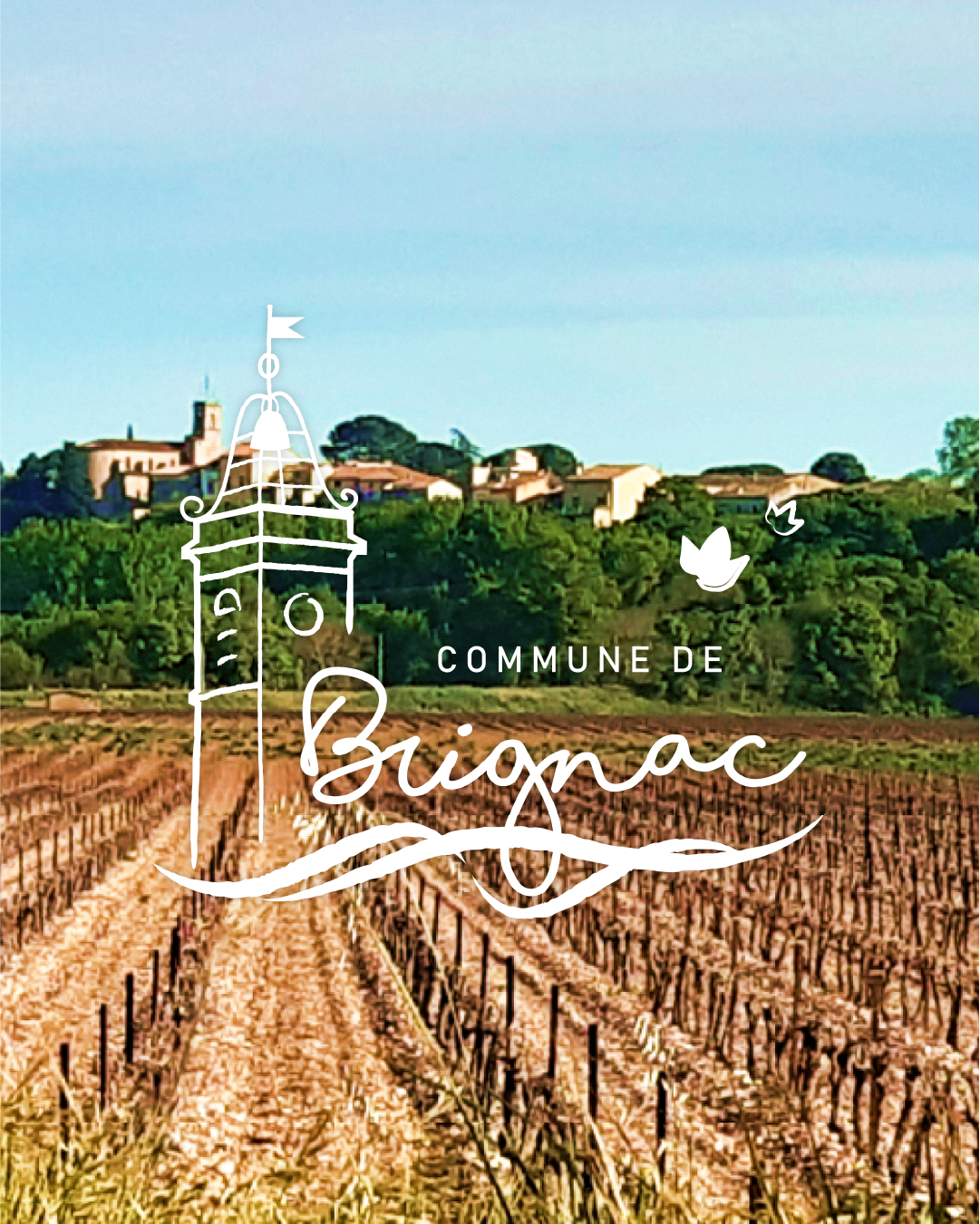 Identité visuelle - Ville de Brignac