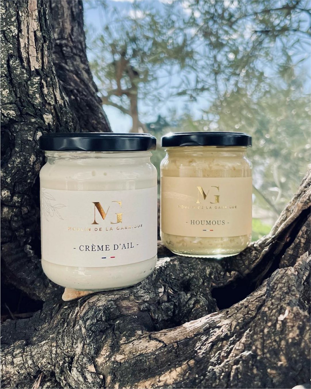Packaging - Moulin de la garrigue Tartinades